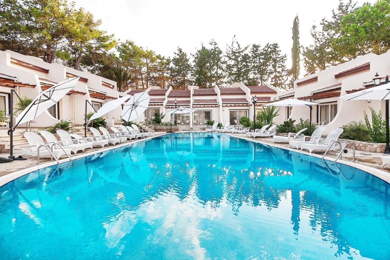 Celebrity Hotel Lapta Dış mekan fotoğraf